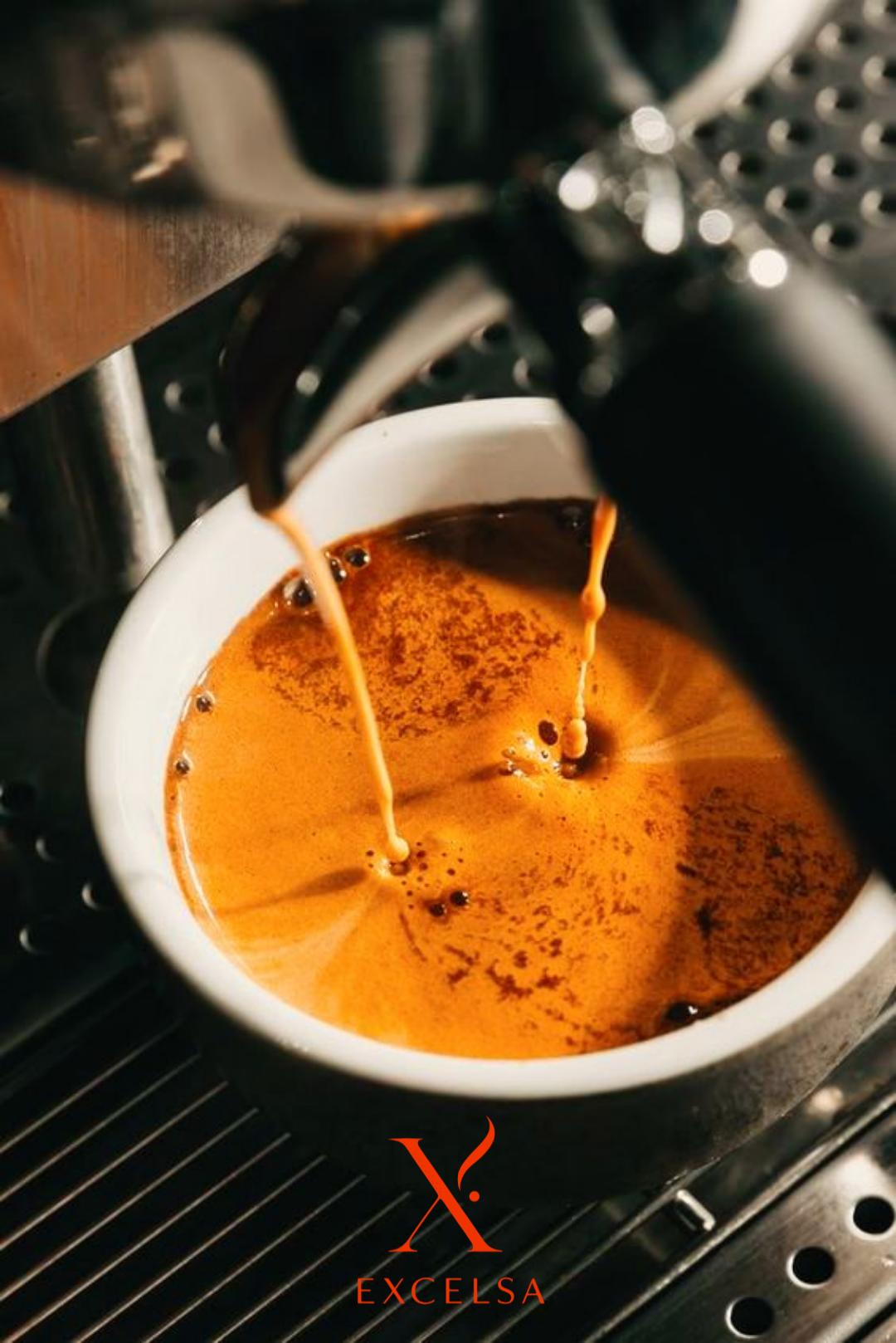 بهترین قهوه برای کافی‌شاپ و اسپرسو حرفه‌ای — راهنمای انتخاب Arabica و Robusta