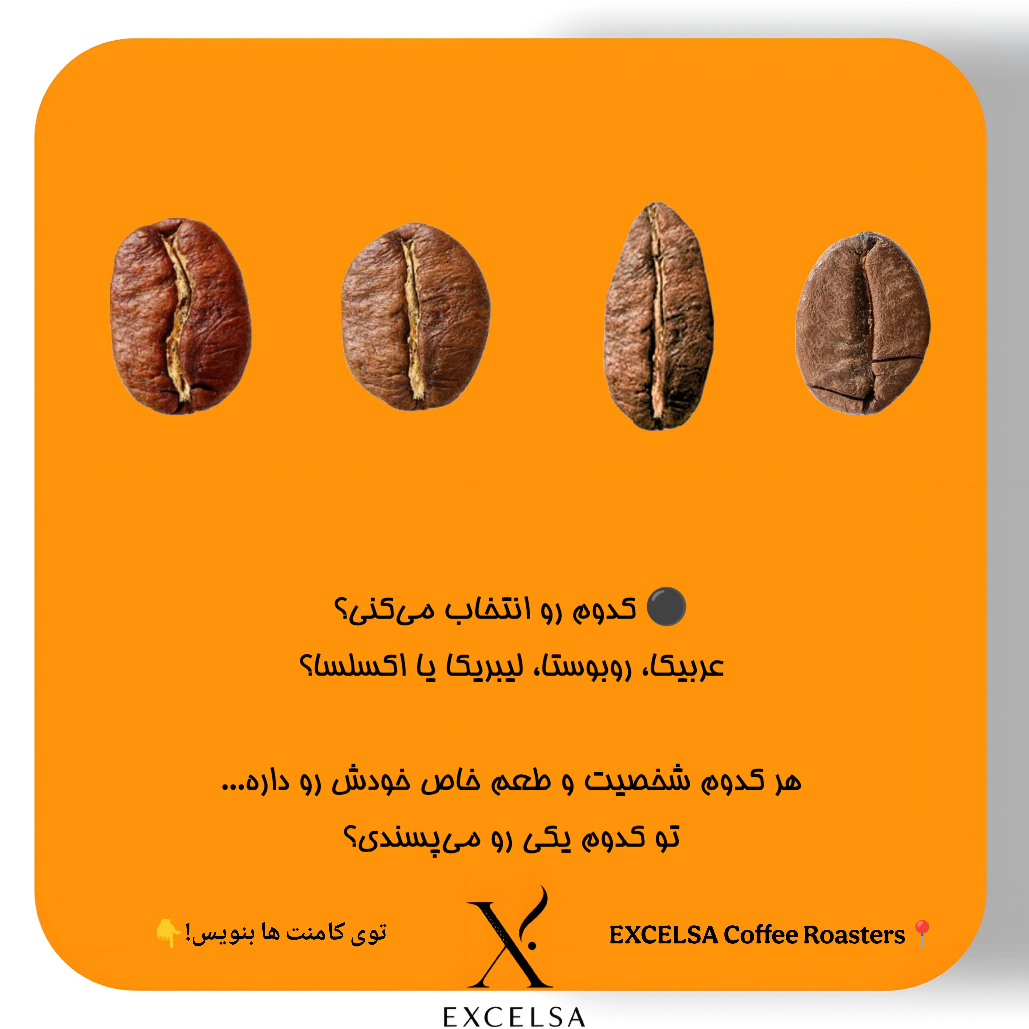 راهنمای نهایی چهار زیرگونه اصلی قهوه؛ عربیکا، روبوستا، لیبریکا و اکسلسا از نگاه یک متخصص رُست